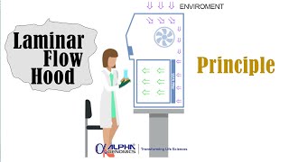 Principle and Working of Laminar Flow Hood English [upl. by Ainotna]