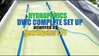 Hydroponics DWC COMPLETE SET UP powered by NutriHydro CFF [upl. by Bekki]