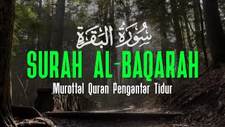 Murottal Quran Merdu  Surah Al Baqarah By Tareq Muhammad [upl. by Nosral]