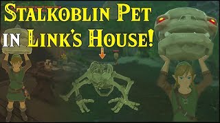 Stalkoblin PET in Links House Skull Heads are CUTE amp FUN in Zelda Breath of the Wild [upl. by Eciralc]