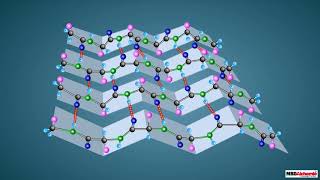 Proteins and their Structure [upl. by Fawnia]