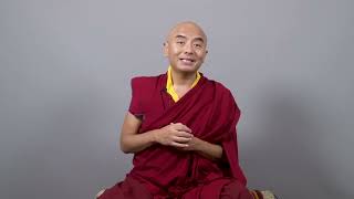 A special birthday message from our beloved teacher Yongey Mingyur Rinpoche [upl. by Kenwood90]