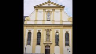 Würzburg Die Glocken der Augustinerkirche VollgeläuteAußenaufnahme [upl. by Nedearb]