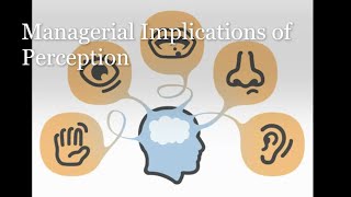 Managerial Implications of Perception Hindi [upl. by Warp]