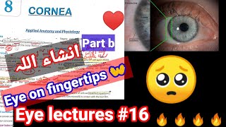 Eye lectures 16 cornea eye keratitis cornea transplant corneal reflex corneal ulcer topography [upl. by Hiltan]