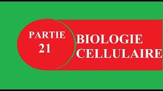 Cours biologie cellulaire partie 21 mitochondrie  البيولوجي بالدارجة [upl. by Anyaj]