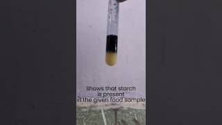 Starch test in legumes Aprojeet2008 chemistry starch youtubeshorts [upl. by Snehpets]