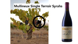 Single Terroir Syrahs Video [upl. by Ardnasxela495]