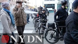 Seattle police officer pepper sprays protesters [upl. by Gerianna]