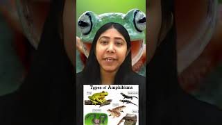 Class Amphibia  Characteristics and Examples  Tetrapod Animal  Biology  Class11  Adhyayanta [upl. by Eardnaed489]