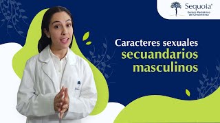 Caracteres sexuales secundarios masculinos [upl. by Adnamar]