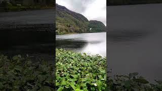 Kylemore Abbey in Ireland travelphotography garden nature beautifulplace [upl. by Ehcor]