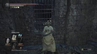 DARK SOULS™ III Siegward of Catarina  Part 7 Irithyll Dungeon [upl. by Mil]