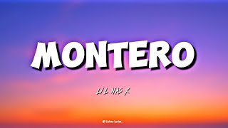 MONTERO  LIL NAS X [upl. by Edylc]