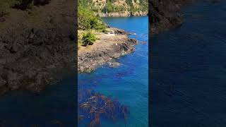 Discover Lime Kiln Lighthouse  DJI Drone Footage  San Juan Island WA [upl. by Nilkcaj]