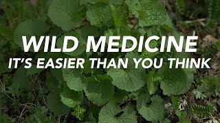 Wild Medicine — Its Easier Than You Think [upl. by Jinny48]