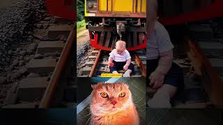 Baby train accident🚊👶😿 ll cat bombastic popular shorts [upl. by Todd134]