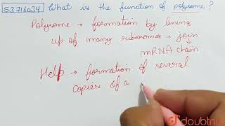 What is the function of polysome   CLASS 11  CELL  THE UNIT OF LIFE  BIOLOGY  Doubtnut [upl. by Jodoin10]