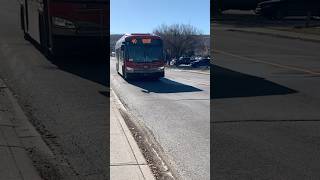 XD40 8239 On Route 40 To Crowfoot Station transit shorts bus calgary yyc fyp short [upl. by Aiduan]