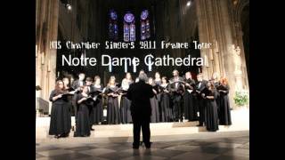 Scarborough Fair  NHS Chamber Singers France Tour 2011 [upl. by Akeyla]