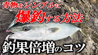 【釣果爆増】風と波を使って青物爆釣！早春のロックショアプラッギング [upl. by Ardekal]