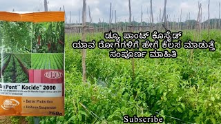 DuPont kocide ಕನ್ನಡದಲ್ಲಿ ಸಂಪೂರ್ಣ ಮಾಹಿತಿ  ಮಳೆಗಾಲದ ರೋಗಗಳ ನಿರೋಧಕ [upl. by Schwartz170]