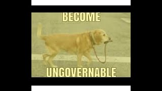 How to Become Ungovernable [upl. by Araed304]