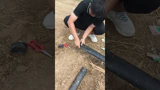 lawn irrigation drip spray irrigation hose tape use tips shorts subscribe tricks seeds [upl. by Muhcan]