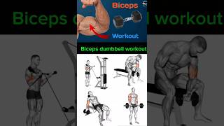 Bicep Workout l 4 Bicep Exercise For Bigger Arms🔥 [upl. by Sarad993]