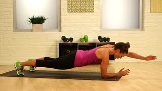 OneMinute Fitness Challenge Plank With Arm and Leg Reach [upl. by Edora523]