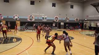 Chicago Peace League Summer 2024 CHAMPIONSHIP Game 2  August 20 2024  Bully Ball vs Peace Elite [upl. by Aehtna]