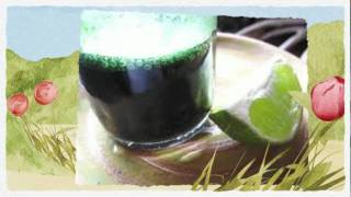 How to Take Chlorella  Healthy Blue Green Algae Powder  Broken Wall [upl. by Aikan264]