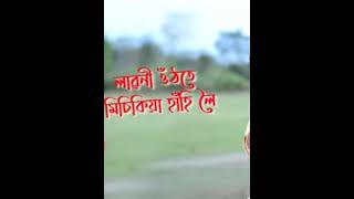 Borokha Potharot bihu song [upl. by Nnaitak]