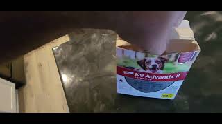 K9 Advantix II Large Dog VetRecommended Honest Review [upl. by Avlem459]