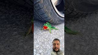 Crushing of ball and tomatoes 🍅 kurkure with car tyres 🛞 asmr crushing crunchy softcomedy [upl. by Oletta]