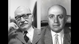 Adorno  Gehlen Ist die Soziologie eine Wissenschaft vom Menschen [upl. by Aierdna]