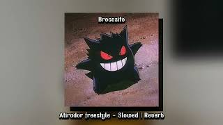 Brocasito  Atirador freestyle  Slowed  Reverb [upl. by Ellehcal]