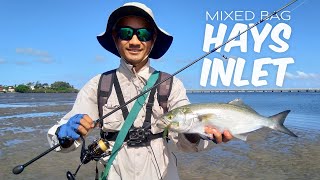 Flathead Tailor amp Bream Mixed Bag  Fishing Hays Inlet Clontarf in Redcliffe [upl. by Shabbir]