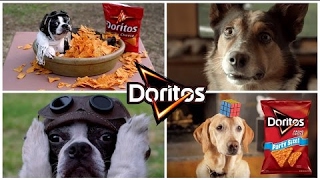 The Best 32 Most Funny Doggy Doritos Super Bowl Commercials of All Time Mr Ansten [upl. by Annek542]