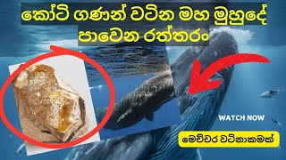 මා මුහුදේ පා වෙන රත්තරං Gold floating in the ocean [upl. by Bain]