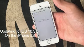 Updating the iPhone 5S to iOS 1033 [upl. by Atilef103]