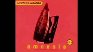 CHUMBAWAMBA quotAMNESIAquot RADIO SINGLE MIX 1997 [upl. by Viafore]