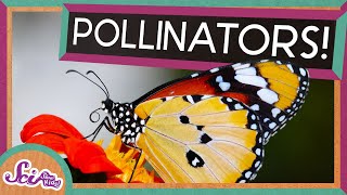 Flowers and Their Pollinators A Perfect Match  Spring is Here  SciShow Kids [upl. by Ulrike]