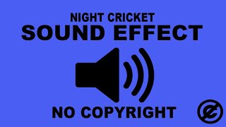 Cricket Sound Effect  No Copyright  Sounds of Night Cricket  Cricket Chirping [upl. by Airemat912]