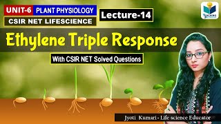 ETHYLENE TRIPLE RESPONSE PHYTOHORMONE PART14 CSIR NET PLANT BIOLOGY [upl. by Emad603]