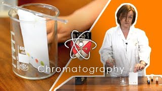 Chromatography  GCSE Science Required Practical [upl. by Eiramanin]