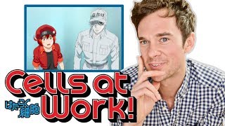 Real DOCTOR reacts to CELLS AT WORK Anime review [upl. by Hime]