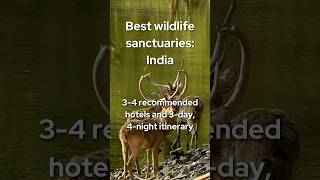 Top 4 Wildlife Sanctuaries in India to Visit [upl. by Neenad]