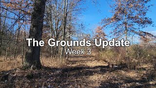 Big week for the grounds Week 3 Recap [upl. by Swirsky]