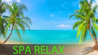 8 Hour Super Relaxing Spa Music Massage Music Background Music Relaxing Music ☯391 [upl. by Eadrahs]